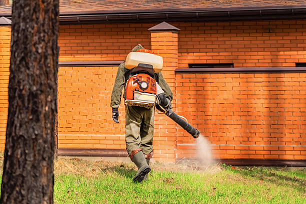 Trusted Ant Control service in West Union, IA - Nex Pest Control